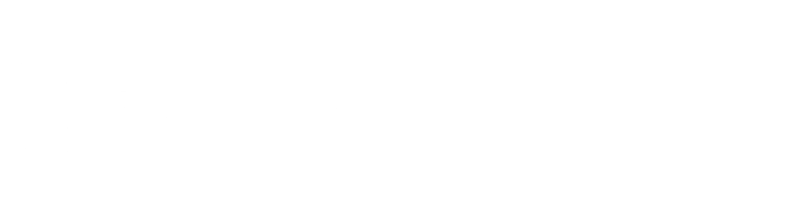 Bes Saiman Group